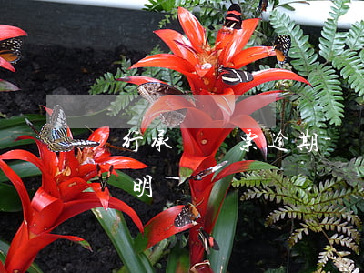 銀行承兌匯票逾期-銀行承兌匯票逾期情況說明