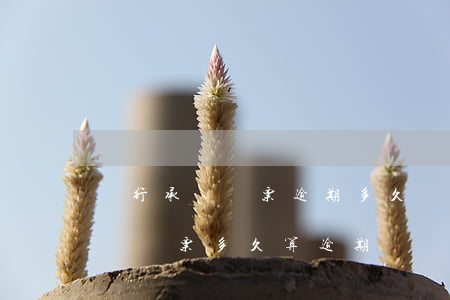 銀行承兌匯票逾期多久會(huì)起訴(承兌匯票多久算逾期)