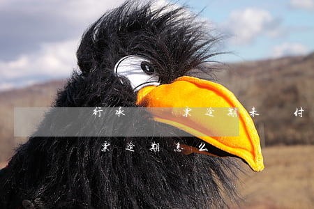 銀行承兌匯票逾期未兌付如何處理(銀行承兌匯票逾期怎么辦)
