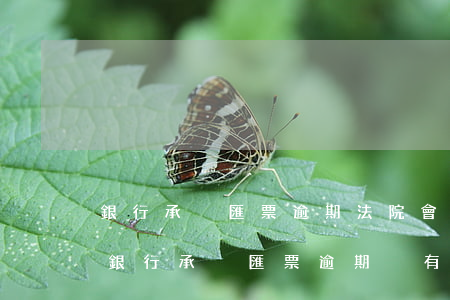 銀行承兌匯票逾期法院會執(zhí)行嗎(銀行承兌匯票逾期沒有承兌怎么處理)