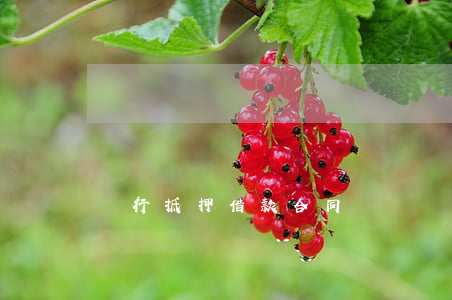銀行抵押借款合同