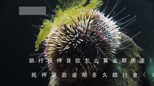 銀行抵押貸款怎么算逾期(房產(chǎn)抵押貸款逾期多久銀行會(huì)起訴)