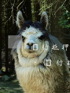銀行抵押貸款無力償還 卡會凍結(jié)-銀行抵押貸款無力償還 卡會凍結(jié)嗎