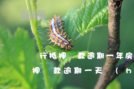 銀行抵押貸款逾期一年(房產(chǎn)抵押貸款逾期一天會(huì)影響信用嗎)