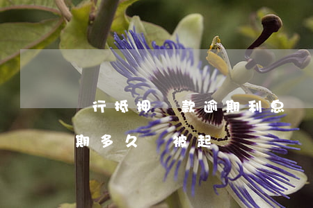 銀行抵押貸款逾期利息(銀行房產抵押貸款逾期多久會被起訴)