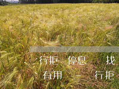 銀行拒絕停息掛賬找銀監(jiān)會投訴有用嗎-銀行拒絕停息掛賬怎么辦