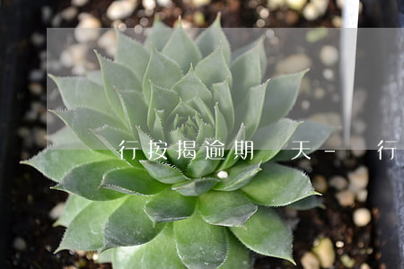 銀行按揭逾期幾天-銀行按揭逾期一天