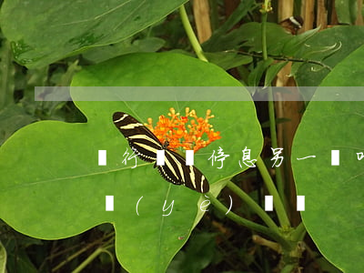 銀行掛賬停息另一種叫法(銀行有停息掛賬的業(yè)務嗎)