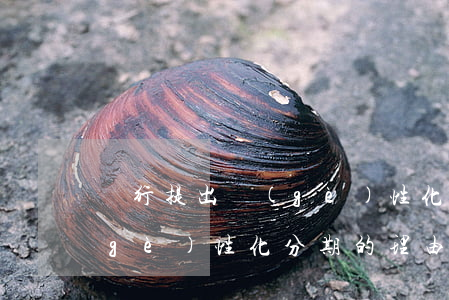 銀行提出個(gè)性化分期(銀行提出個(gè)性化分期的理由)