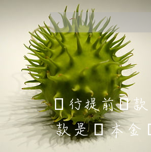 銀行提前還款只還本金(銀行提前還款部分還款是換本金還是本金和利息)
