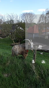 銀行擔(dān)保法院傳票不去可以嗎(如果法院傳票找不到人怎么辦,有擔(dān)保人的)