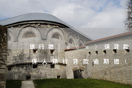銀行擔(dān)保貸款逾期擔(dān)保人(銀行貸款逾期擔(dān)保人有什么后果)