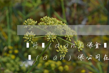 銀行擔(dān)保金賬戶法院可以扣劃嗎(擔(dān)保公司在銀行的保證金是否可以扣劃)