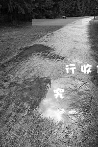 銀行收信用卡逾期違約金(信用卡逾期銀行追究違約責任)