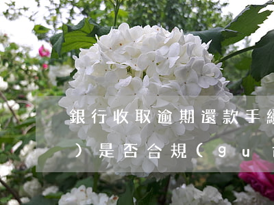 銀行收取逾期還款手續(xù)費(fèi)是否合規(guī)-銀行收取逾期還款手續(xù)費(fèi)是否合規(guī)呢