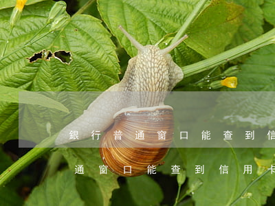 銀行普通窗口能查到信用卡逾期嗎-銀行普通窗口能查到信用卡逾期嗎怎么辦