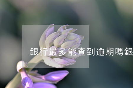 銀行最多能查到逾期嗎(銀行最多逾期多久)