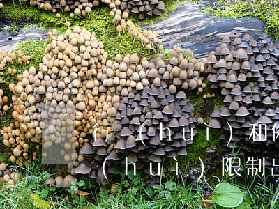 銀行會(huì)和你協(xié)商還款會(huì)限制出境嗎-銀行會(huì)和你協(xié)商還款會(huì)限制出境嗎是真的嗎