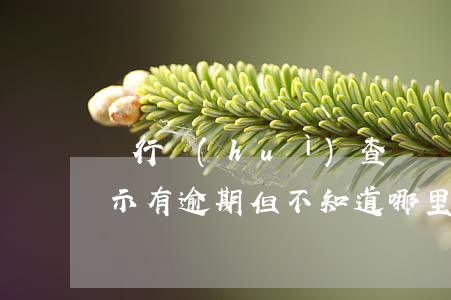銀行會(huì)查螞蟻花唄逾期嗎(花唄顯示有逾期 但不知道哪里逾期了)
