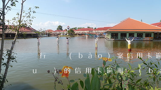 銀行會報(bào)案信用卡逾期（正規(guī)的信用卡逾期報(bào)案流程）