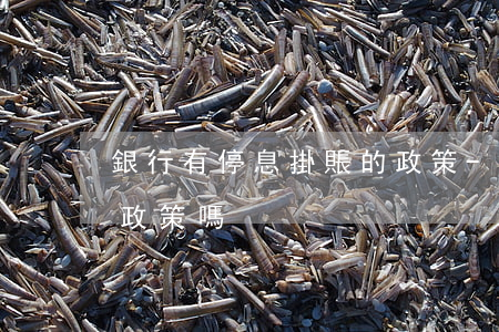 銀行有停息掛賬的政策-銀行有停息掛賬的政策嗎