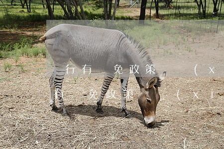 銀行有減免政策嗎現(xiàn)在-銀行有減免政策嗎現(xiàn)在還有嗎