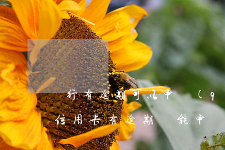 銀行有逾期可以申請(qǐng)信用卡嗎（信用卡有逾期還能申請(qǐng)哪個(gè)銀行）
