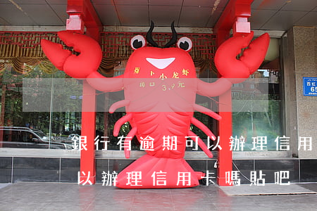 銀行有逾期可以辦理信用卡嗎(銀行有逾期可以辦理信用卡嗎貼吧)