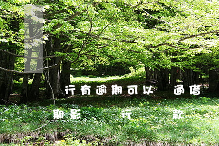 銀行有逾期可以開通借唄嗎(用了借唄沒有逾期影響銀行辦貸款嗎)