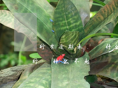 銀行有逾期未還為什么銀行不起訴(逾期了銀行為什么不起訴)