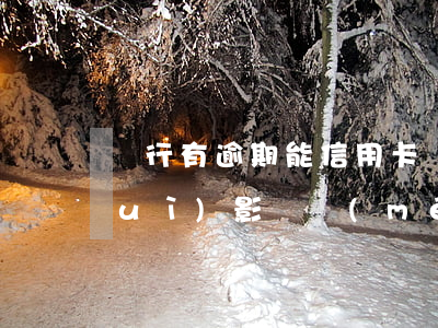 銀行有逾期能信用卡嗎(其他銀行逾期會(huì)影響沒(méi)逾期的信用卡提出嗎)