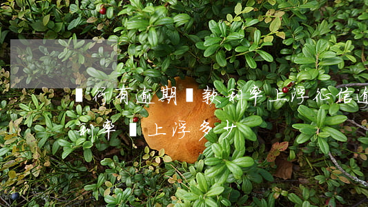 銀行有逾期貸款利率上浮(征信逾期按揭貸款利率會上浮多少)