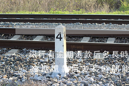 銀行有逾期還款后多長時間能取消-銀行有逾期還款后多長時間能取消貸款