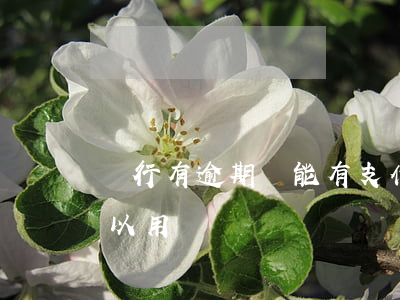 銀行有逾期還能有支付寶-支付寶逾期還可以用嗎