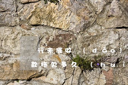 銀行未催收導(dǎo)致貸款逾期(銀行貸款拖欠多久會(huì)被催收)