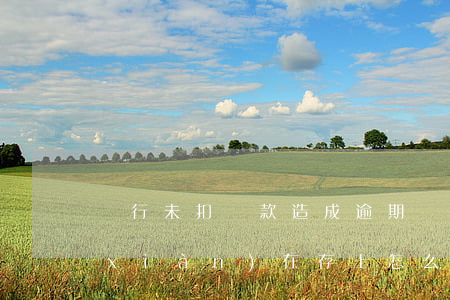 銀行未扣貸款造成逾期(銀行貸款逾期了,現(xiàn)在存上怎么不扣款)