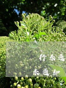 銀行未通知導(dǎo)致逾期（信用卡逾期未通知銀行有責(zé)任嗎）