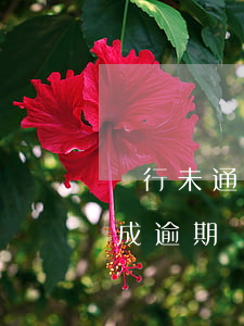銀行未通知貸款逾期(貸款到期銀行未提醒造成逾期)