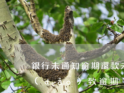 銀行未通知逾期還款(未收到銀行還款信息導(dǎo)致逾期)