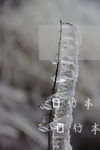 銀行本票存款屬于什么性質(zhì)（使用銀行本票注意事項(xiàng)有哪些）
