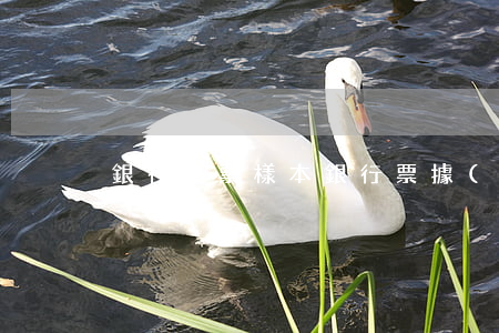 銀行本票樣本(銀行票據(jù)填寫樣本)