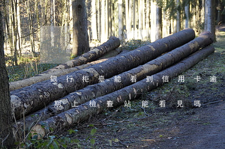 銀行柜臺能看到信用卡逾期記錄嗎（信用卡逾期上檢查站能看見嗎）
