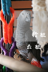 銀行柜臺辦的信用卡逾期(工行信用卡逾期讓去柜臺還款)