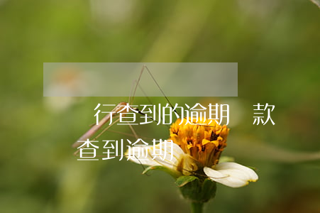 銀行查到的逾期還款記錄征信有嗎-銀行能查到逾期記錄嗎