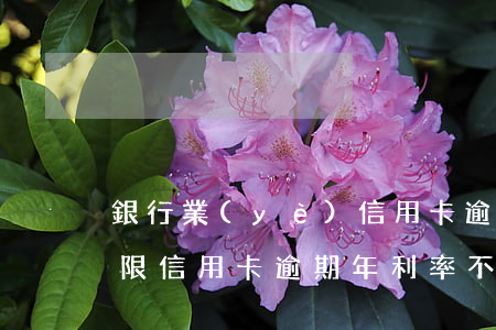 銀行業(yè)信用卡逾期費(fèi)上限(信用卡逾期年利率不能超過多少)
