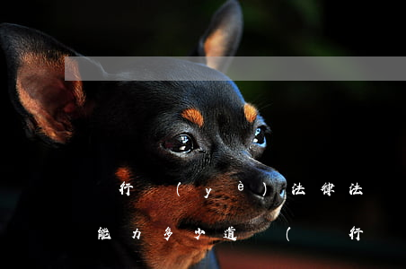 銀行業(yè)法律法規(guī)與綜合能力多少道題(銀行從業(yè)資格考試共多少道題)