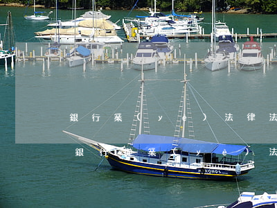 銀行業(yè)法律法規(guī)課程(銀行從業(yè)法律法規(guī)考試科目哪些章節(jié)初級(jí)不用)