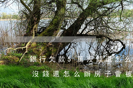 銀行欠款5萬沒錢還怎么辦-銀行欠款5萬沒錢還怎么辦房子會被拍賣嗎