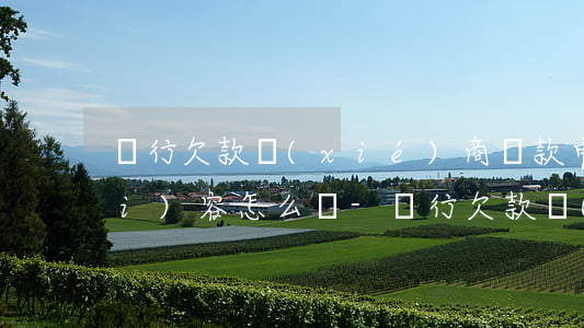 銀行欠款協(xié)商還款申請內(nèi)容怎么寫-銀行欠款協(xié)商還款申請內(nèi)容怎么寫的