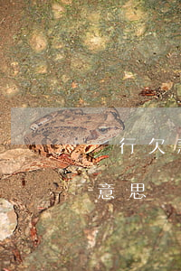 銀行欠款呆賬怎么處理(銀行欠款呆賬是什么意思)